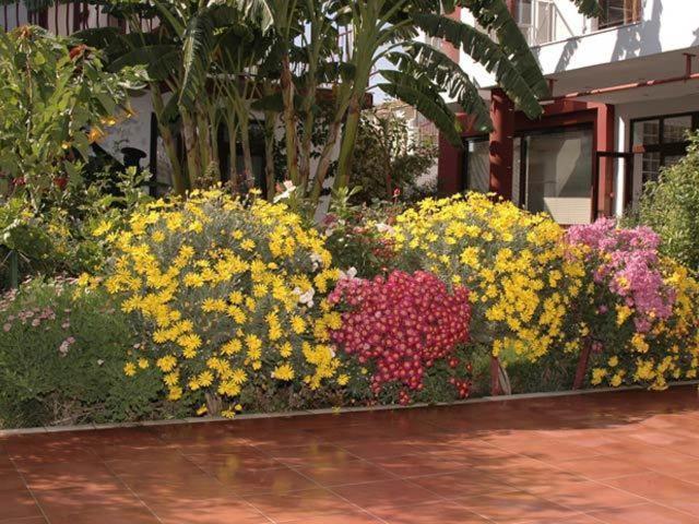 Side Elis Hotel Exterior foto